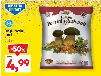 Funghi porcini interi