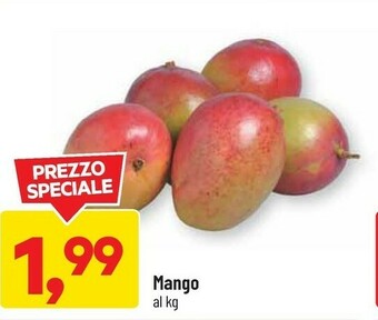 DPiù Mango offerta