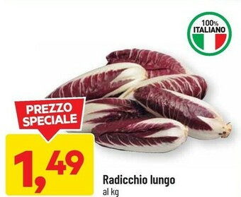 DPiù Radicchio lungo offerta