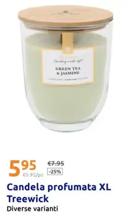 Action Candela profumata XL Treewick offerta