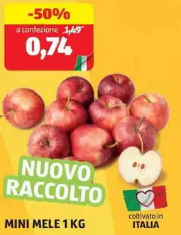 ALDI Mini mele offerta