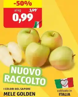 ALDI I colori del sapore mele golden offerta