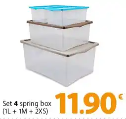 Famila Superstore Set 4 spring box offerta