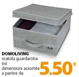 Famila Superstore DOMOLIVING scatola guardaroba tnt dimensioni assortite offerta