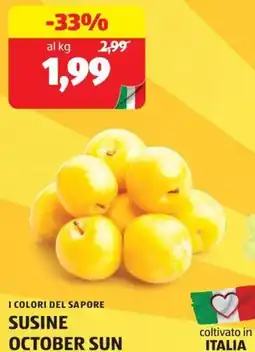 ALDI I colori del sapore susine october sun offerta