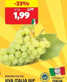 ALDI Regione che vai uva italia igp offerta