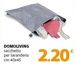 Famila Superstore DOMOLIVING sacchetto per lavanderia cm 40x45 offerta