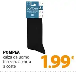 Famila Superstore POMPEA calza da uomo filo scozia corta a coste offerta