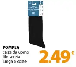 Famila Superstore POMPEA calza da uomo filo scozia lunga a coste offerta