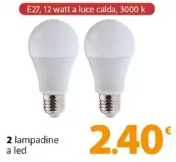 Famila Superstore 2 lampadine a led offerta
