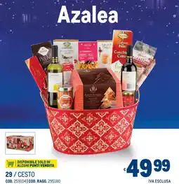 Metro Azalea offerta