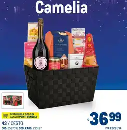 Metro Camelia offerta