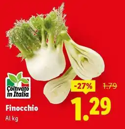 Lidl Finocchio offerta