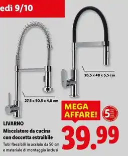 Lidl LIVARNO Miscelatore da cucina con doccetta estraibile offerta