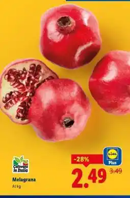 Lidl Melagrana offerta