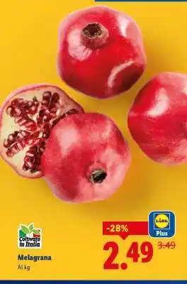 Lidl Melagrana offerta
