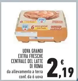Conad Uova grandi extra fresche Centrale del Latte di Roma offerta