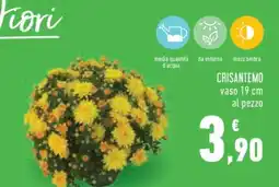 Conad CRISANTEMO offerta