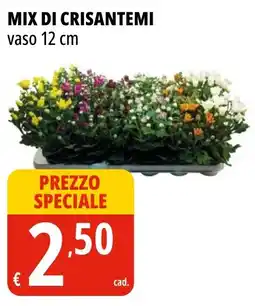 Tigros Mix di crisantemi vaso 12 cm offerta