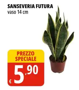 Tigros Sanseveria futura vaso 14 cm offerta