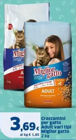 Sigma Croccantini per gatto Adult Miglior gatto offerta