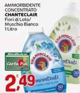 Crai Ammorbidente concentrato CHANTECLAIR offerta