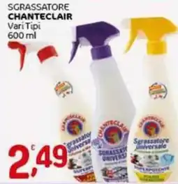 Crai Sgrassatore CHANTECLAIR offerta