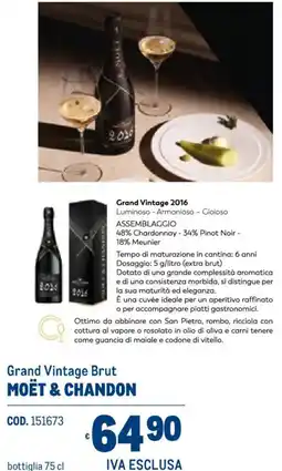Metro Grand Vintage Brut MOËT & CHANDON offerta