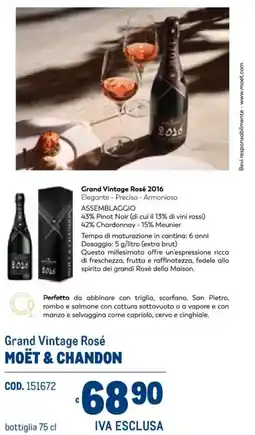 Metro Grand Vintage Rosé MOËT & CHANDON offerta