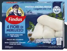 Deco Supermercati Findus 4 fiori di merluzzo offerta