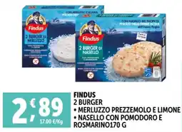 Deco Supermercati Findus 2 burger offerta