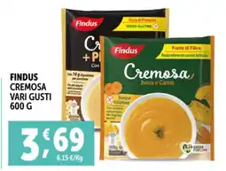 Deco Supermercati Findus cremosa vari gusti offerta