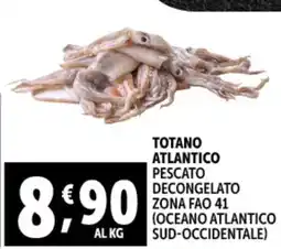 Gourmet Déco Totano atlantico pescato decongelato offerta