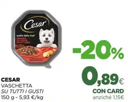 L´Isola dei Tesori Cesar vaschetta offerta