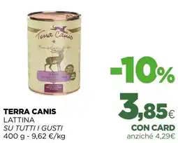 L´Isola dei Tesori Terra canis lattina offerta