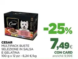 L´Isola dei Tesori Cesar multipack buste selezione in salsa e gelatina offerta