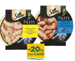 L´Isola dei Tesori Sheba filets offerta