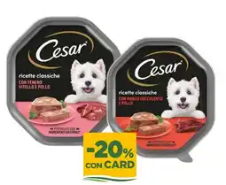 L´Isola dei Tesori Cesar ricette classiche offerta