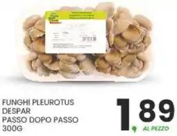 Despar Funghi pleurotus despar passo dopo passo offerta