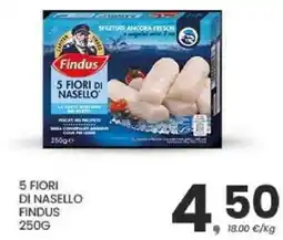 Despar 5 fiori di nasello FINDUS offerta