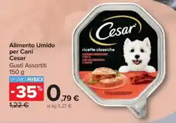Carrefour Market Alimento Umido per Cani offerta