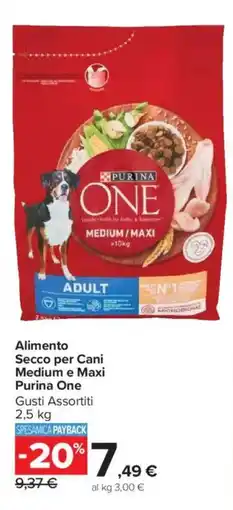 Carrefour Market Alimento Secco per Cani Medium e Maxi Purina One offerta