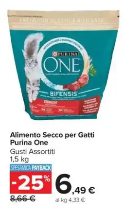 Carrefour Market Alimento Secco per Gatti Purina One offerta