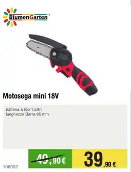 Handy fai da te BlumenGarten Motosega mini 18V offerta
