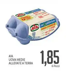 Supermercati Piccolo Aia uova medie allevate a terra offerta