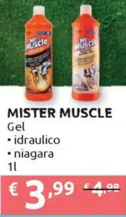 Ipersoap MISTER MUSCLE Gel offerta