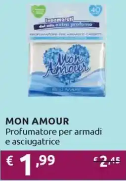 Ipersoap MON AMOUR Profumatore per armadi e asciugatrice offerta