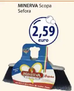 Acqua & Sapone MINERVA Scopa Sefora offerta