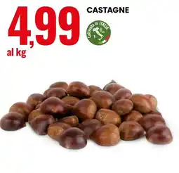 Eurospin Castagne offerta