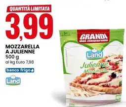 Eurospin Land Mozzarella a julienne offerta